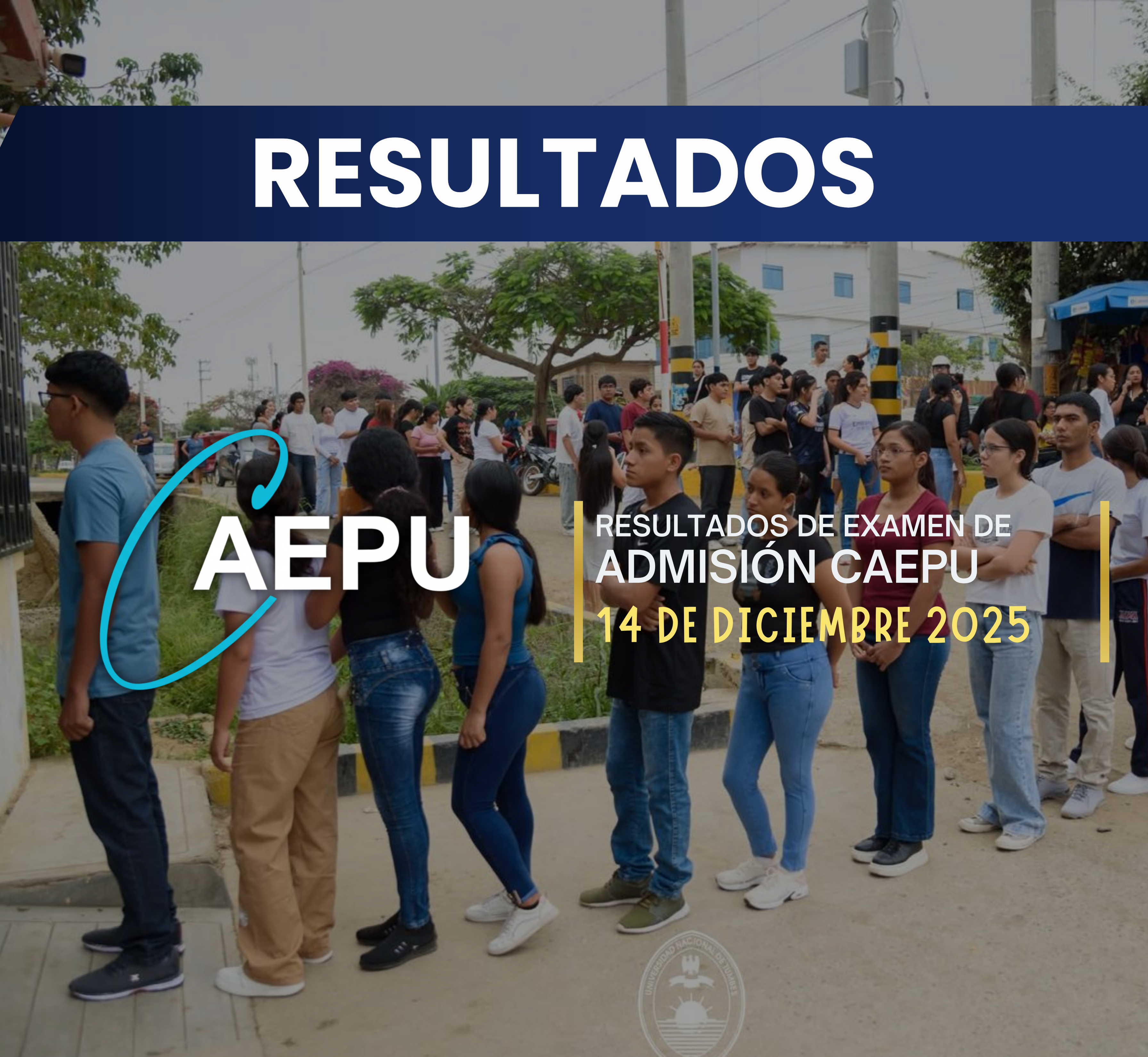 RESULTADOS